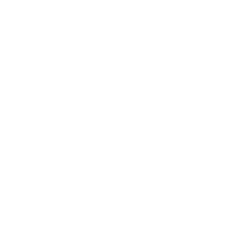 Pink Duck Group Ltd